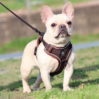 Slpc dog leash, medium-sized dog french bulldog corgi bulldog harness, small dog teddy pomeranian dog harness, brown xl (recommended about 15-20 jin jin equals 0.5 kg dog)