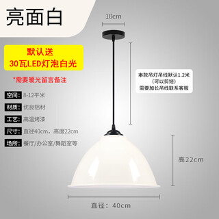 Aroden simple modern chandelier industrial style creative personality single-head industrial and mining lampshade bar restaurant office hair salon lamp 40cm paint free 30 watt led