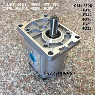 Huili's customized tianjin special precision gear pump cbn-f304/306/310/314/316/320/325 left-hand right-hand cbnf304