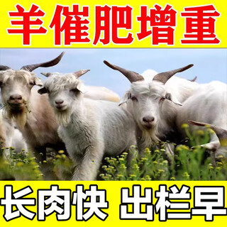 Sheep fattening, fattening, weight gain, growth promotion, fattening, feed additive, chicken, duck, goose, cattle and sheep premix, poultry and veterinary use, 5 packs, buy 3, get 2 free, gluttony, sleepiness, growth