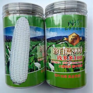 Wangyuan xingzhen bainuo 999 corn seeds extra large stick sweet glutinous big ear high yield white glutinous sticky spring and autumn corn bract seeds 500g can zhenbainuo 999 10 cans
