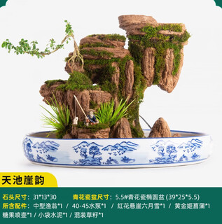 Smvp boutique indoor natural absorbent stone landscaping water stone ornaments landscape bonsai flowing water rockery micro landscape tianchi cliff rhyme (complete set)