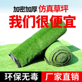 Qingya lawn simulated turf fake grass fence outdoor decoration kindergarten children's playground fake lawn artificial fake lawn 10mm engineering encrypted grass (price is 1 square meter)