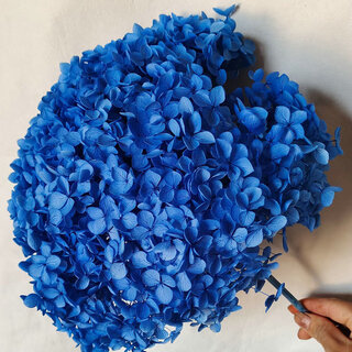Everlasting anna hydrangea dried flowers bleached single hydrangea real flower wedding decoration eternal flower hydrangea bouquet gift royal blue flower head diameter more than 20 cm