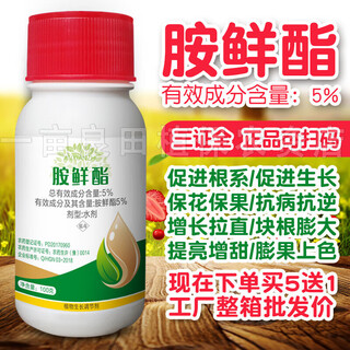 5% ammonium ethyl aqueous agent, plant growth regulator, pesticide, prevents premature aging, enlarges fruit rhizomes, preserves flowers and fruits, 500g*5 bottles