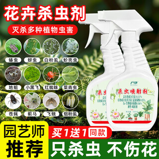 Insektizide für haushaltsblumen, rote pflanzenspinnen, schuppeninsekten, blattläuse, blumen und gräser, bodengrünpflanzen, häufig verwendete arzneimittel gegen rosenblütenkrankheiten und insektenschädlinge