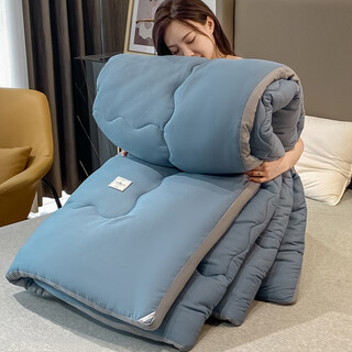 Aisiju thickened warm quilt winter quilt core single student dormitory spring and autumn thin 1.5m quilt double 1.8m space quilt universal for all seasons light luxury blue 150*200cm (3jin jin is equal to 0.5kg)