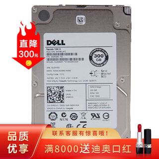 戴尔（DELL）服务器工作站硬盘企业级 SAS/SATA/300G/600G/900G/1T/2T/3T/4T /6T/8T/12T/16T/18T/20T 300GB SAS 15K RPM 2.5