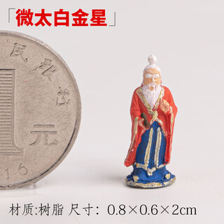 Shiguang xiaozhan micro landscape landscaping figures small ornaments rockery bonsai landscaping ornaments absorbent stone water stone landscape bonsai decoration miniature taibaijinxing