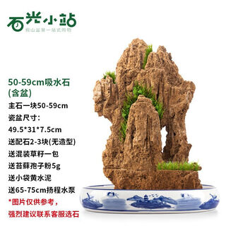 Shiguang station absorbent stone natural stone bonsai fish tank courtyard large fish pond landscaping absorbent stone original stone water stone bonsai 50-59cm absorbent stone blue and white porcelain basin
