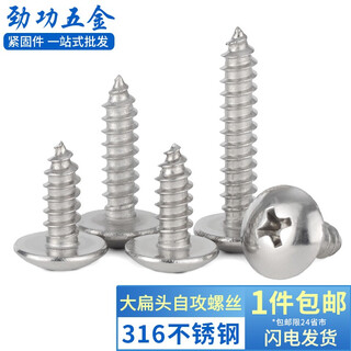 Jinggong 316 stainless steel large flat head self-tapping screw long wood screw cross slot mushroom head screw m3m4m5m6 6*80 2 pieces