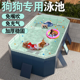 Inflatable swimming pool for pet dogs, special summer cooling artifact, golden retriever, medium and large dog bathing tub, 2.1m tianzhu blue, inflatable free