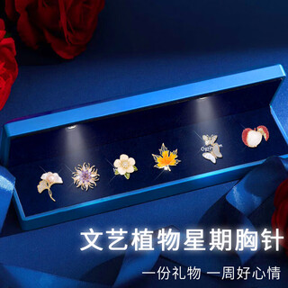 Gunai brooch, high-end women's exquisite niche corsage, anti-glare buckle, coat pin, gift box, birthday gift for women, practical literary plant small brooch, 6 pieces light gift box