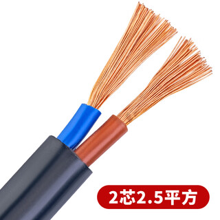 Pearl river cable pearl river national standard pure copper cable 2-core 3-core 4-core power cord 1/1.5/2.5/4/6 square soft sheathed wire national standard 2 core 2.5 square meters (1 meter)