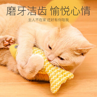 Qi oh cat toy self-happiness and relief from boredom cat mint simulated azabu fish kitten cat funny stick kitten teething pet supplies mute azabu little yellow croaker