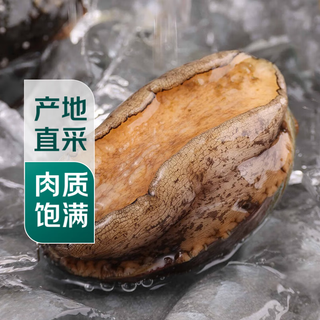 1 fresh extra large abalone (from 90g)