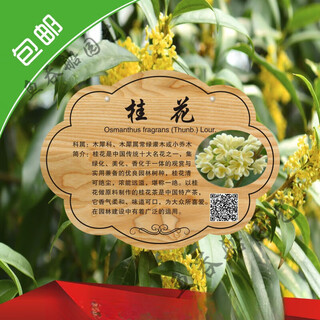 Customized tree sign stainless steel sign acrylic tree plant adoption sign adoption tree sign ground reminder flower sign custom quotation