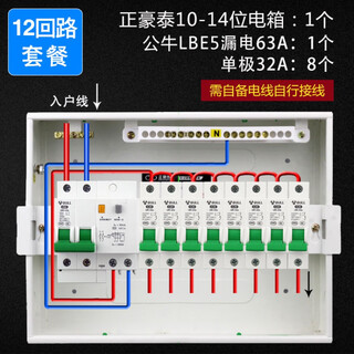 电气漏电家用配电箱全套12回路空气开关明装暗装断路器 公牛漏电+名丽1.0厚14位透明暗箱 漏电63A+1P32A8只