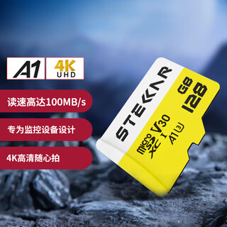 朗盛STELLAR LT100 TF卡 行车记录仪手机 MicroSD 监控 高速内存卡 64GB