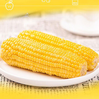 Tong chuang northeast yellow waxy corn on the cob fresh sweet waxy corn on the cob meal replacement light food vacuum packaging sticky corn northeast yellow waxy corn 220g*10 cobs/box