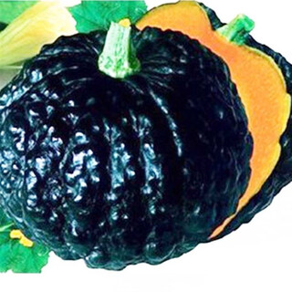 Qingyi xuanmi ben pumpkin seeds high yield sweet noodle giant cream chestnut pumpkin golden hook pumpkin field planted vegetable seed original packaging black pumpkin