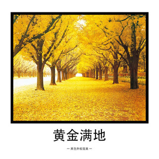 Meter box high-end decorative painting 2024 new modern light luxury meter box decorative painting free of punching art simple guest a5-golden ground 50*40 (can accommodate horizontal length 42*vertical height 32)