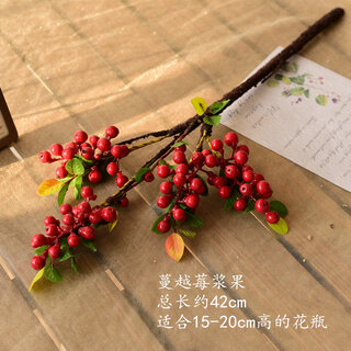 Xushansi cranberry berry artificial flower and fruit branch fruit fruit american shooting props nordic pastoral cranberry berry-red