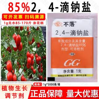 Guoguang non-falling and anti-falling agent 24 24-drop sodium salt plant growth regulator 2.4-d tomato flower and fruit 1 1g*10 bags
