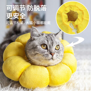 Hunter elizabeth collar cat and dog collar anti-licking collar cat sterilization collar deepening waterproof pet collar shame circle s code yellow suitable for 3-10 jin jin equals 0.5 kg