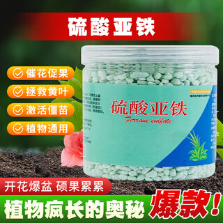 Ferrous sulfate granular fertilizer acid-loving plant flower fertilizer to prevent yellow leaves and regulate soil home gardening plant fertilizer green leaf artifact ferrous sulfate 200g*2 cans