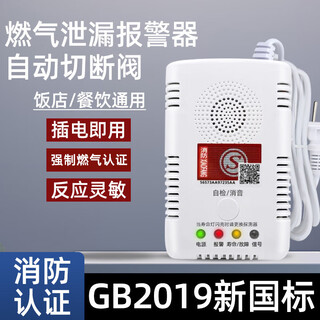 Gas alarm home kitchen restaurant gas natural gas liquefied gas catering combustible gas leak alarm gas alarm methane propane universal