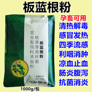Fast selling veterinary isatis root powder, pig, cattle, sheep, chicken, duck, goose and pigeon, heat-clearing, detoxifying, cold, diarrhea and anti-viral feed additive 1 bag 1000g (no gift)