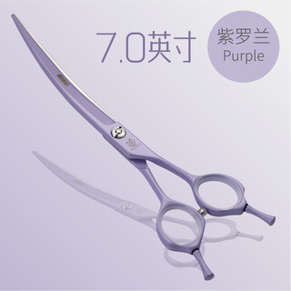 Black bird professional pet curved scissors for hair shearing, beauty scissors, straight shear, teddy vip bichon frize dog hair trimming, 6.25/7 inches, 7.0 inches, violet (curved scissors)