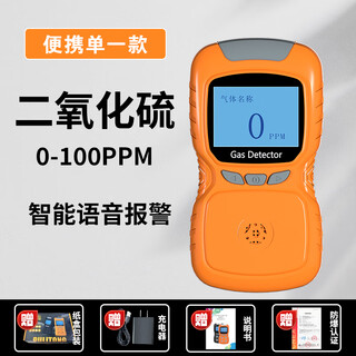Bridgestone gas detector portable combustible oxygen co hydrogen sulfide carbon monoxide harmful gas explosion-proof alarm sulfur dioxide