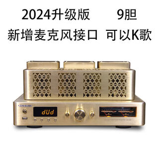 Augsburg exports danish fever high-end hifi amplifier tube amplifier high-power lossless optical fiber coaxial bluetooth gold