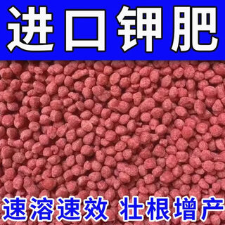 Cloruro de potasio canadiense para árboles frutales, flores de hortalizas, fertilizante compuesto soluble en agua para agricultura, fertilizante general, gránulos de fertilizante de potasio, fertilizante de potasa roja para agricultura 50 jin jin equivale a 0,5 kg (a granel)