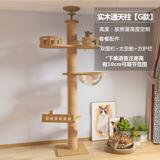 辛姆 大型猫爬架通天柱实木质猫架猫窝一体太空舱猫抓板立式剑麻带窝 3m 3层 【G款】方护栏款