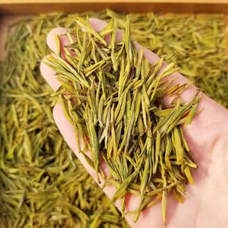 Luoyu 2023 direct supply from the origin mingqian selected golden buds zhejiang green tea and white tea tea spot wholesale wholesale mingqian picking
