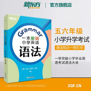 【新东方旗舰】一本解码小学英语语法 小学毕业初中入学考试 五六年级剑桥英语等级考试 核心考点重难