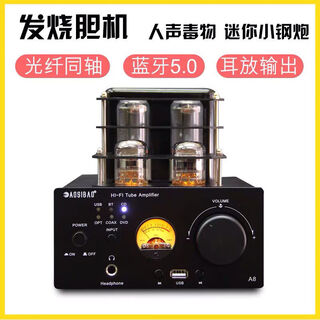 Augsburg british fever tube amplifier hifi high-fidelity bluetooth 5.0 with ear amplifier front and rear stones
