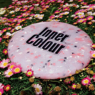 Yikun discs 175g frisbee adult outdoor sports inner color spinner fitness flying saucer lychee rose cake