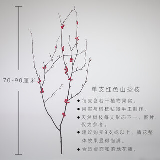 Aesthetic hacker handmade birch trunks mountain twisted magnolia branches bouquet living room decoration dried flowers real flower flower arrangement home indoor one mountain twisted branch red
