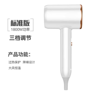 Yrye pansonic's same hair dryer for home high-power dormitory use student internet celebrity hair dryer hair salon mute hot and cold does not hurt hair stylish white no blue light