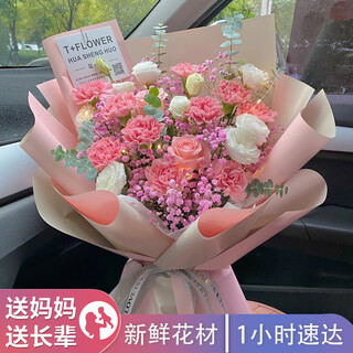 Plant with carnations, lilies, flowers, birthday wishes, visiting patients, mother's day flowers, express delivery to mom's nationwide stores in the same city, type i - 11 carnation roses mixed and matched
