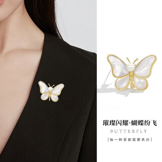Bai qixin butterfly brooch female niche design insect tassel literary spring and summer birthday gift simple and versatile accessories brooch white butterfly