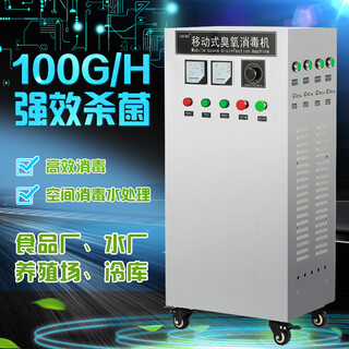 Maple cyj16100a-y100g ozone generator ozone disinfection machine ozone machine food factory warehouse storage farm sterilization and disinfection water treatment