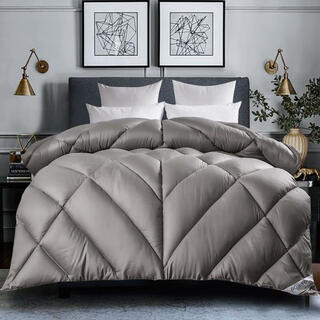 羽绒被95白鹅绒被子冬被子春秋被加厚保暖单双人被芯鸭绒 抗菌灰色 180*220约10斤