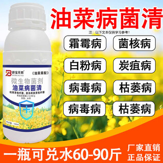 Special pesticide for rapeseed pathogen sclerotinia downy mildew mosaic and white rust 1 bottle*100g