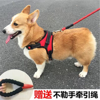 Five-tailed dog leash, dog leash, vest-type dog walking rope, harness, corgi shiba inu medium and large dog chain, red harness + 1.5 meter leash s (recommended 10-18 jin jin equals 0.5 kg)