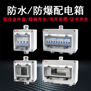Waterproof and explosion-proof air switch lighting distribution box aluminum 380v3p circuit breaker dust-proof and explosion-proof air switch distribution box ten circuits 10p empty box